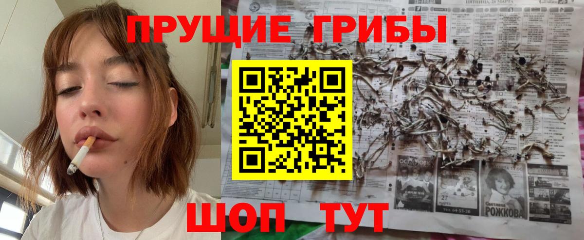Белебей  Псилоцибиновые грибы Psilocybine cubensis  Вход с VPN 