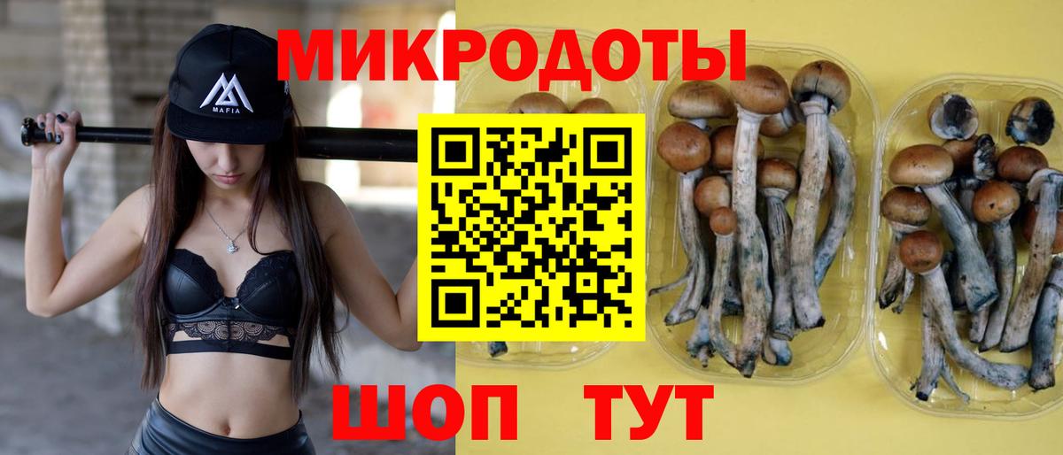 Псилоцибиновые грибы мицелий Белебей